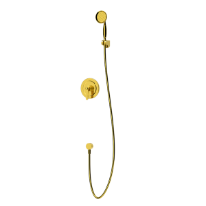 Brushed Gold LUXE Series H59A concealed single function handheld shower system