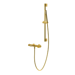 Brushed Gold ECLAT Series SUS304 exposed dual function hand shower set